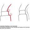 Petzl® Aluminiumkarabiner Arbeitsschutz für Höhenarbeit