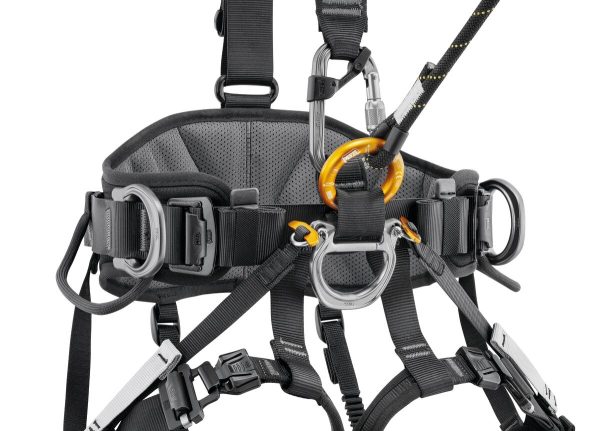 Petzl® Gurt AVAO® europäische Ausführung – Bild 3