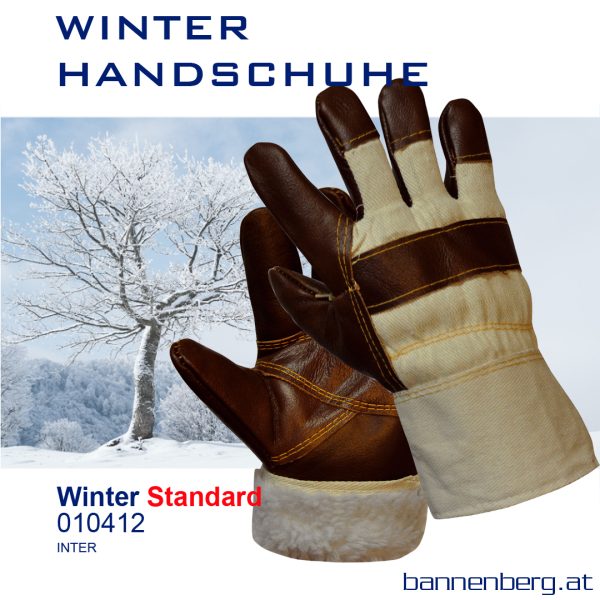 Möbelleder Winter Standard