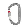Petzl Karabiner Am´D Screw-Lock