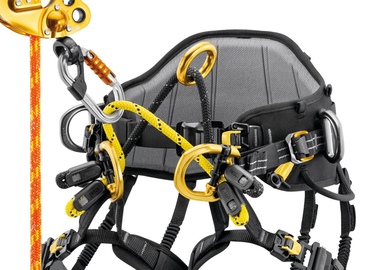 Petzl SEQUOIA® PLUS | Professioneller Baumpflegegurt – Bild 4