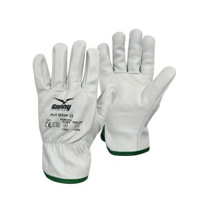 Driver PILOT 55 TOP